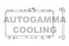 AUTOGAMMA 101273 Radiator, engine cooling